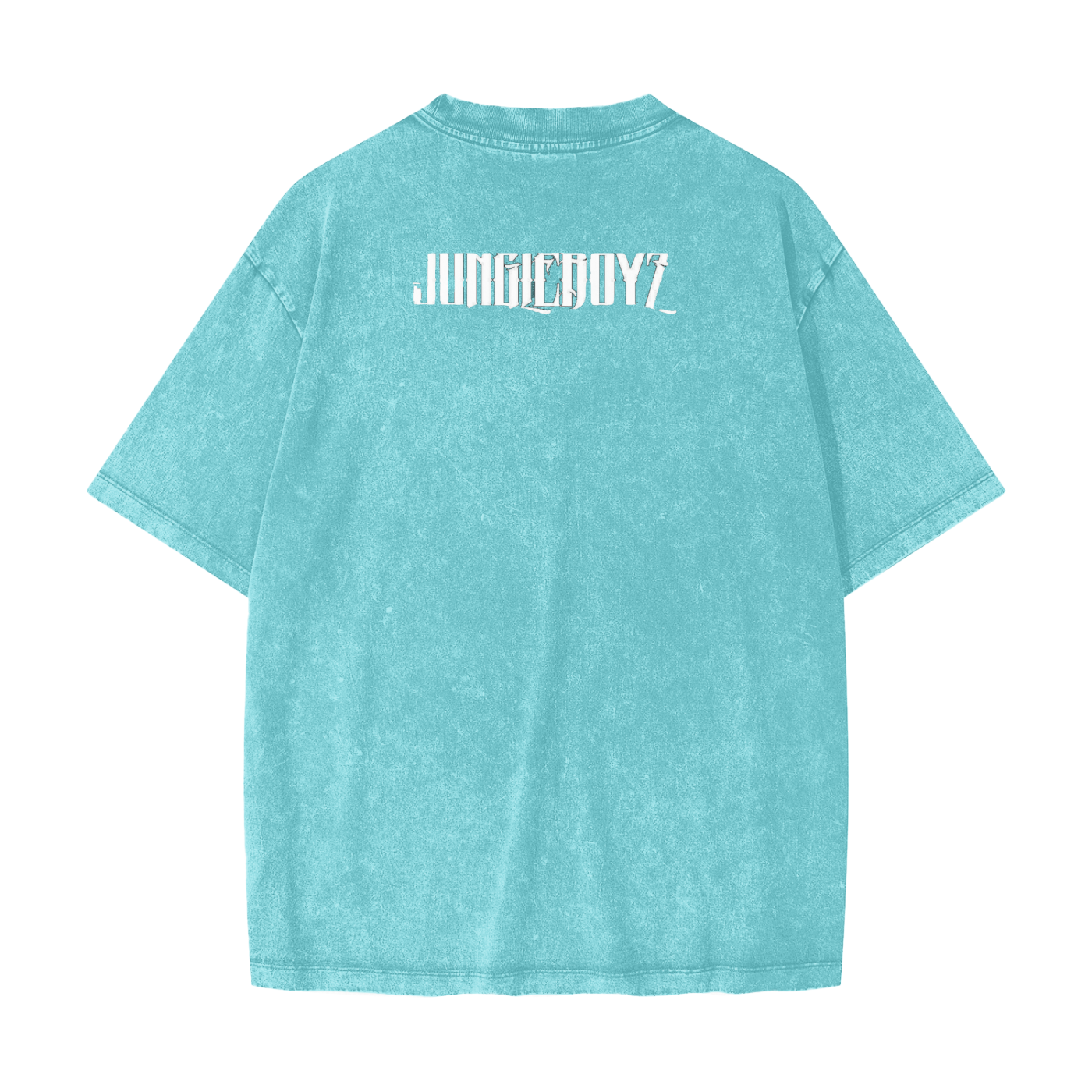 Heavyweight Snow Washed T-Shirt